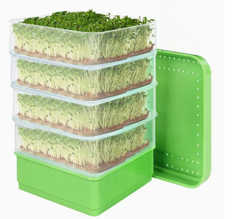 kit per microgreens